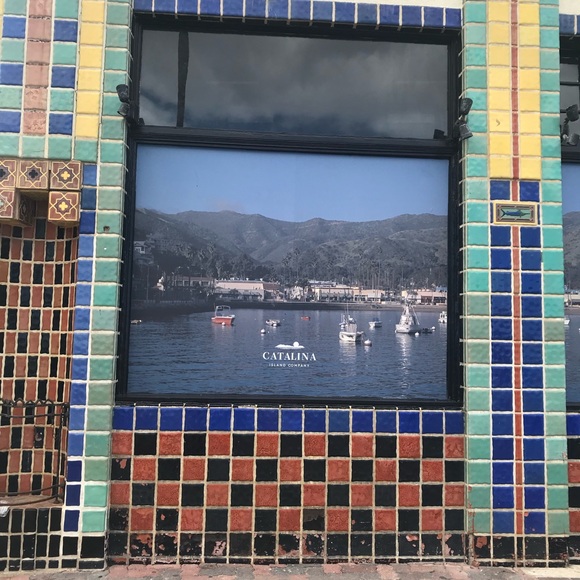 Meet your Posher, Yolie - Picture 2 of 8